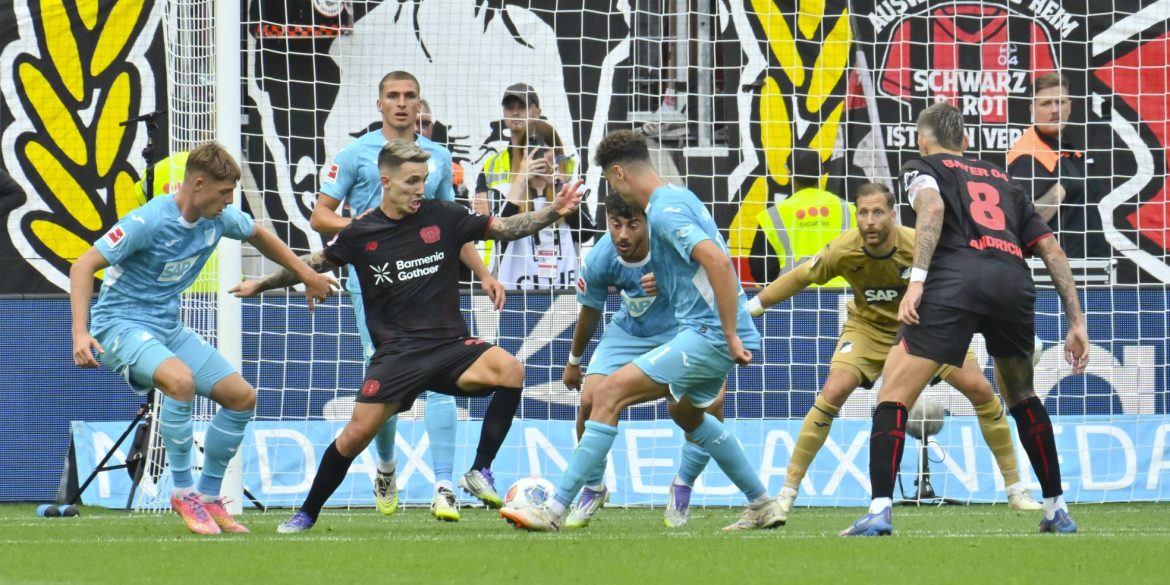 Kaufempfehlungen ab 10 Mio.: Top-Anlagen von Bayer Leverkusen und der TSG Hoffenheim